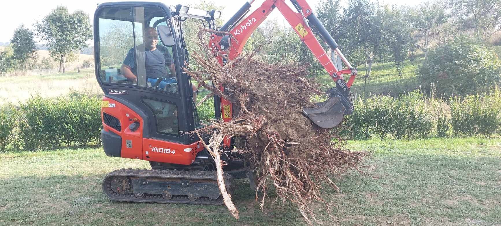 Odstraňovanie pňov